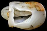 Polished Agate Skull with Druzy Quartz Crystal Pocket #148107-3